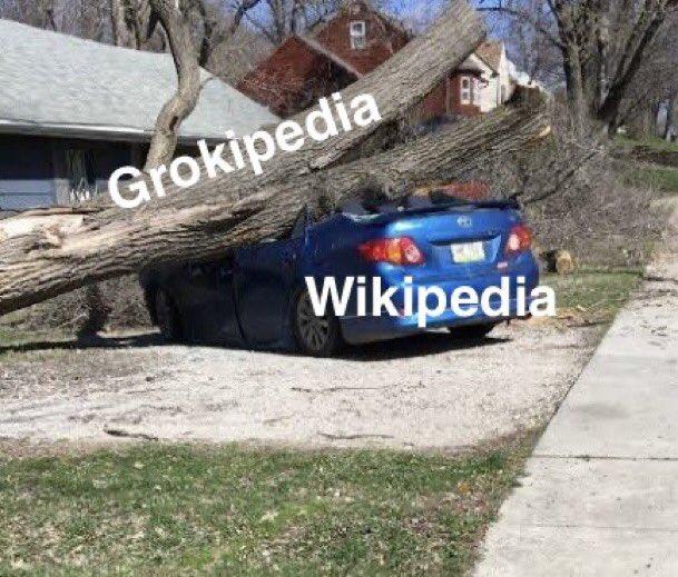 Wikipedia, Finally Open-Sourced!